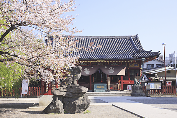 ご指定の神社